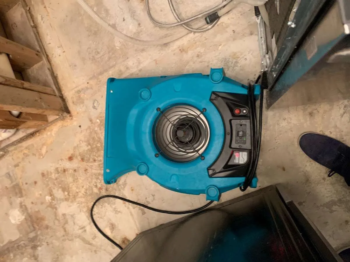 Air mover drying equipment for Mold Remediation & Removal in Timberlake